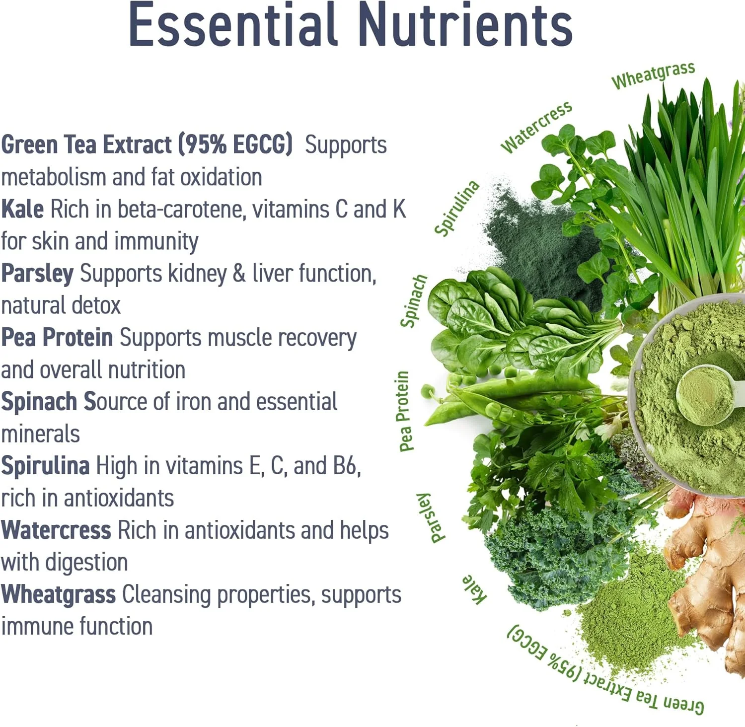 Applied Nutrition Critical Greens - Image 5