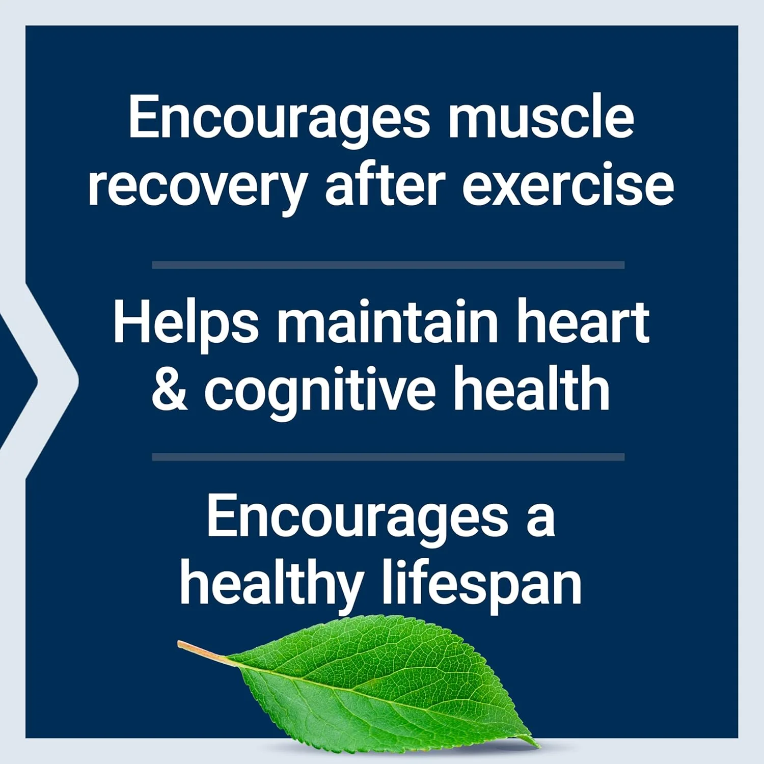 Life Extension Taurine 1000 mg - Image 5