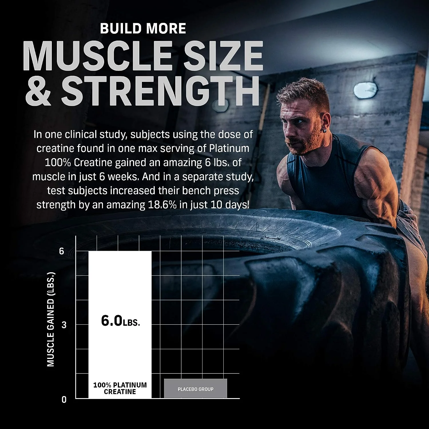 MuscleTech Essential Series Platinum 100% Creatine - Image 4