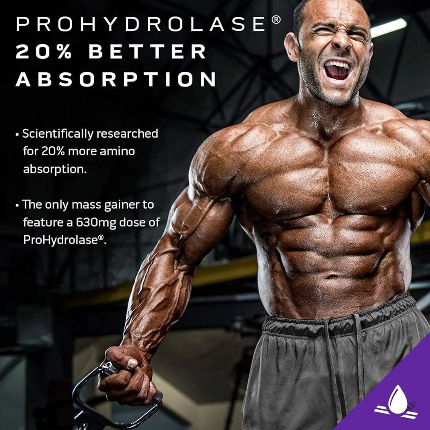 MuscleTech  Mass Tech Elite - Image 10