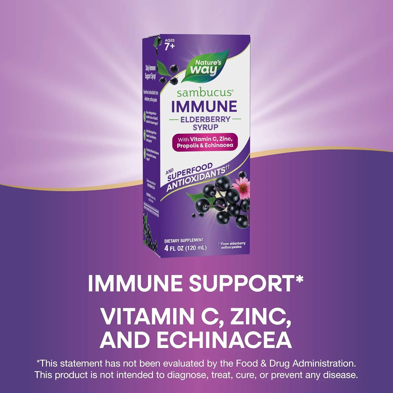 Nature's Way Sambucus Immune, Elderberry Extract, Vitamin C, Zinc, Echinacea - Image 2