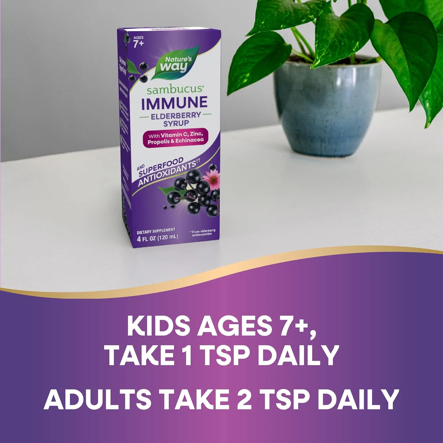 Nature's Way Sambucus Immune, Elderberry Extract, Vitamin C, Zinc, Echinacea - Image 3