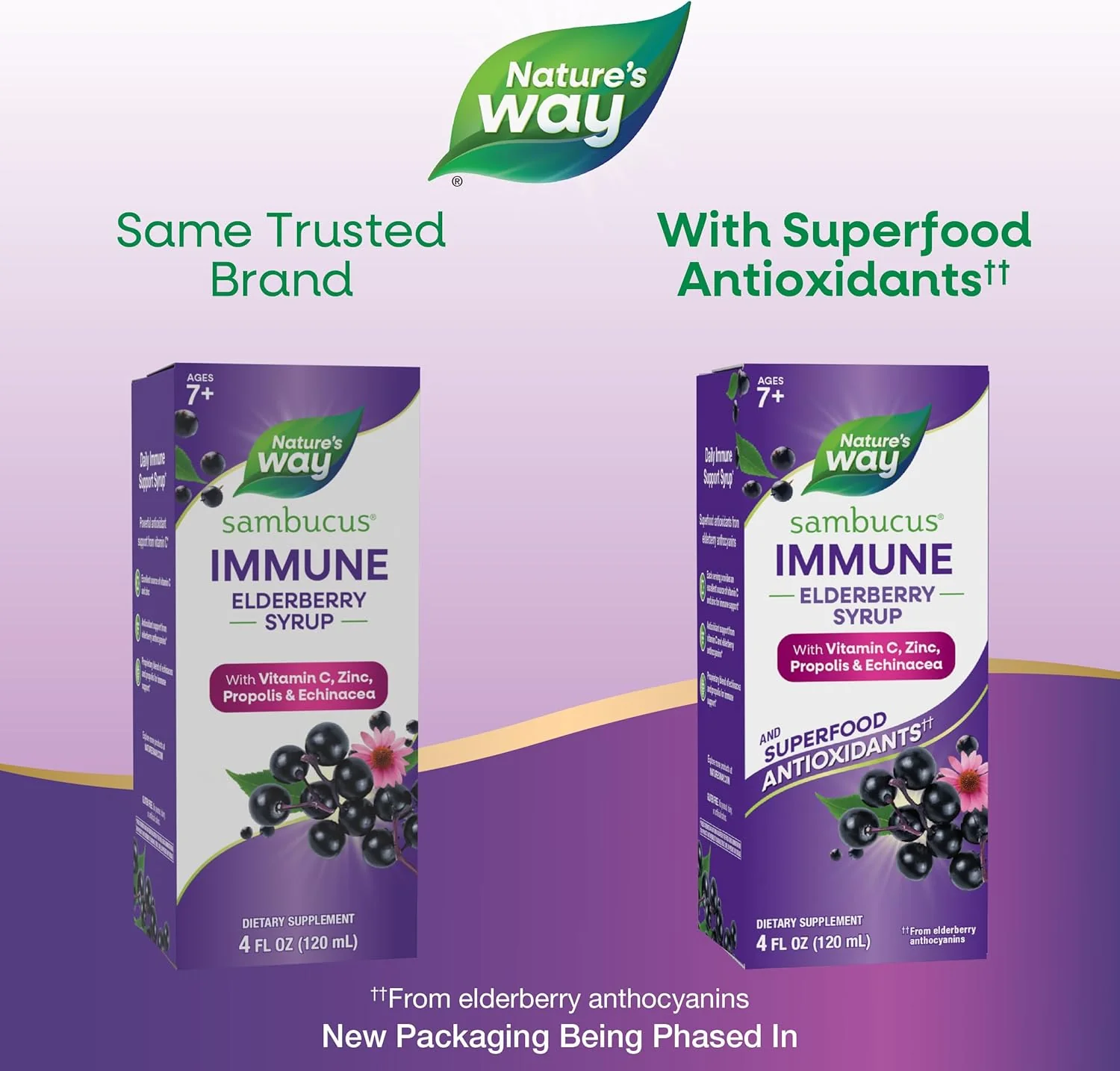 Nature's Way Sambucus Immune, Elderberry Extract, Vitamin C, Zinc, Echinacea - Image 4