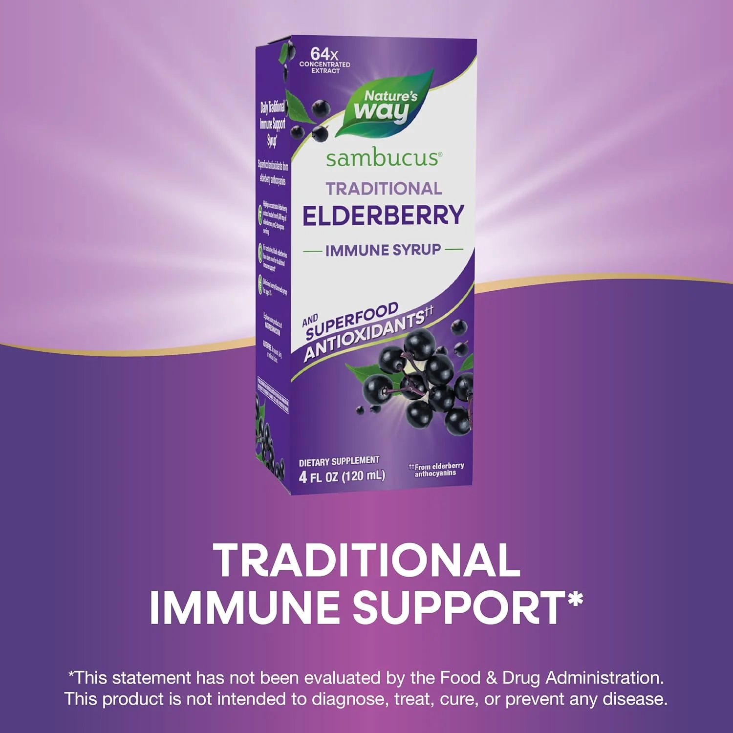 Nature's Way, Sambucus , Traditional Immune Syrup - Image 2
