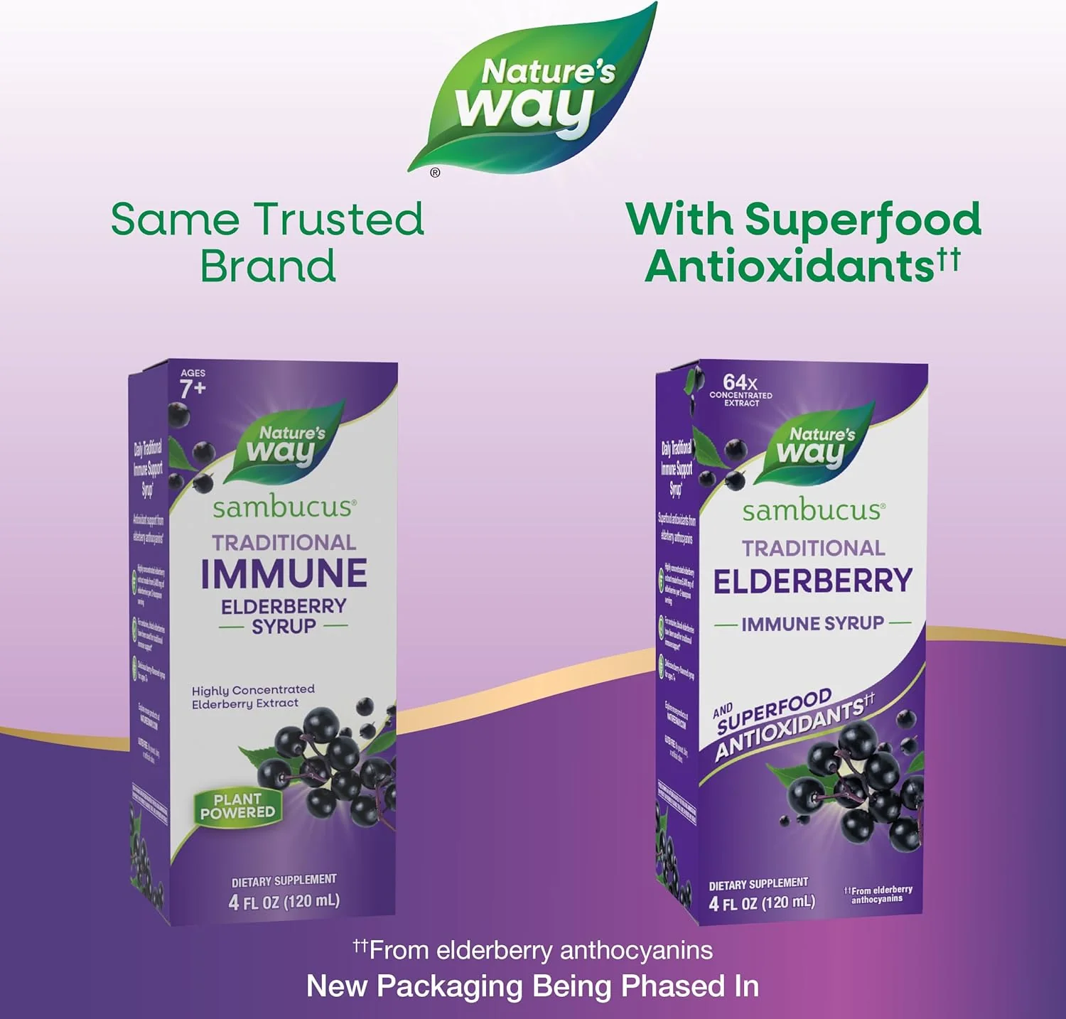 Nature's Way, Sambucus , Traditional Immune Syrup - Image 3