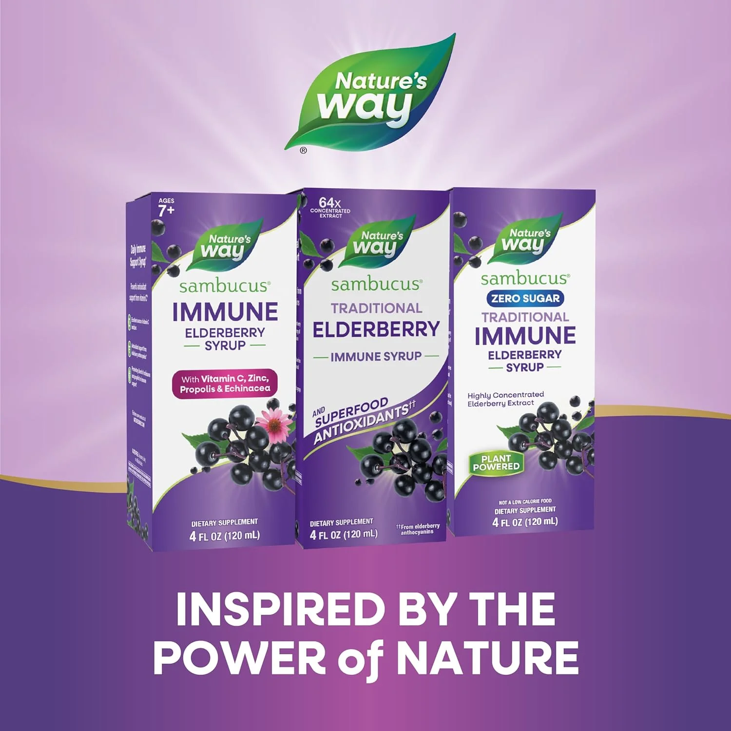 Nature's Way, Sambucus , Traditional Immune Syrup - Image 4