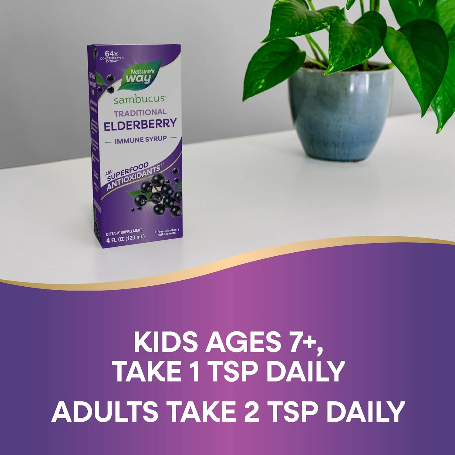 Nature's Way, Sambucus , Traditional Immune Syrup - Image 5